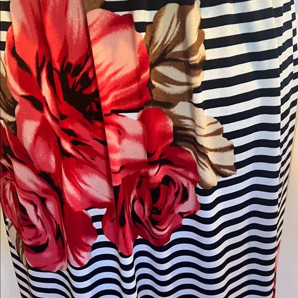 Enfocus Studio Black and White Striped Maxi Dress with Red Floral Accents - Picture 7 of 8
